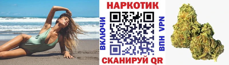 Названия наркотиков Кудрово Кокаин  СК  ГАШ 