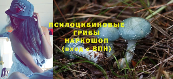 соль ск Аркадак